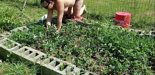  Garden PAWG pulling weeds in the strawberry patch has a big ass hotsquirtcouple